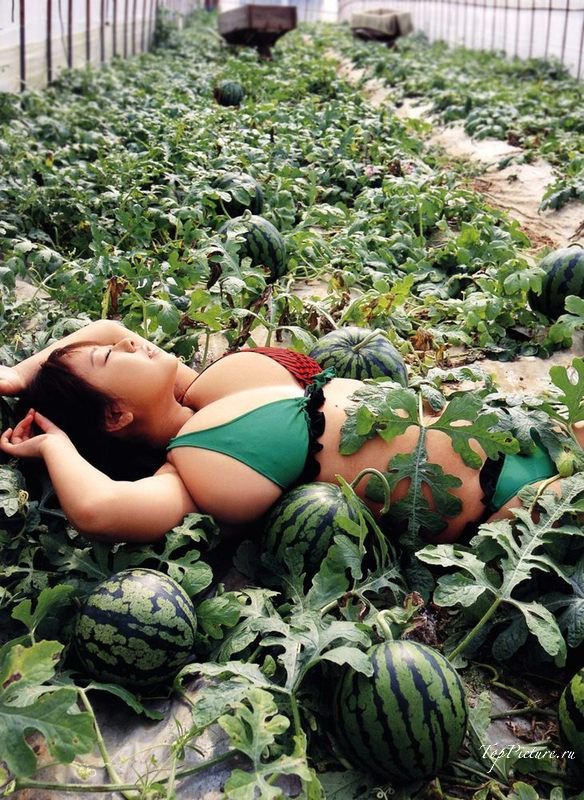 Толстая японка в бикини пробралась в теплицу с арбузами порно фото